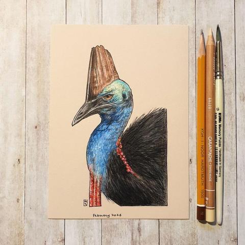 A portrait of a Cassowary bird in colour. The cassowary is a large, flightless bird most closely related to the emu. Although the emu is taller, the cassowary is the heaviest bird in Australia.
An original art work
Colour pencil and mixed media on acid free toned artist paper
5 by 7 inches (12.7 by 17.8 cm). This is a standard photo size in the UK and USA and should be easy to DIY frame.
Sold unframed