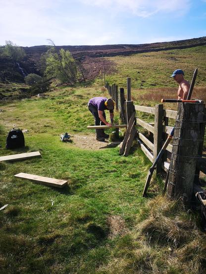 On a hot sunny day, two men are working to repair a stile in a fence. One is shirtless and looks on while the other saws a piece of timber to size to make a step. Pieces of timber and tools lying around. In background, land rises up from the river Tees, with a small waterfall among scrubby trees.