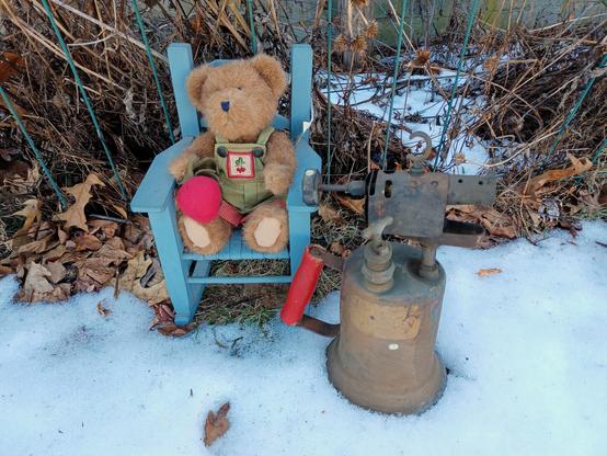 A ten inch tall (25cm), light brown teddy bear in green overalls sits looking directly at the camera. His name is BeetBear. He is holding a beet in his right paw.  There is a bunch of beets embroidered on the bib of his overalls.  He is in his favorite blue wooden rocking chair in a snowy February flower bed.  There is a vintage blow torch next to him.