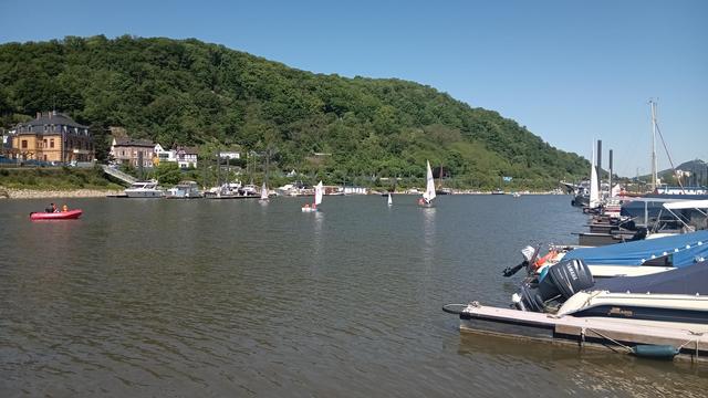 Ein Hafenbecken, im Hintergrund ein bewaldeten Berg, ein paar Segelboote und ein Motorboot auf dem Wasser.