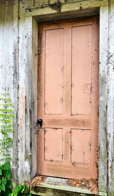 Old out building, aged, weathered, and white paint peeling, surrounding an unusually colored door, something between pink and orange,  coral or peach perhaps.