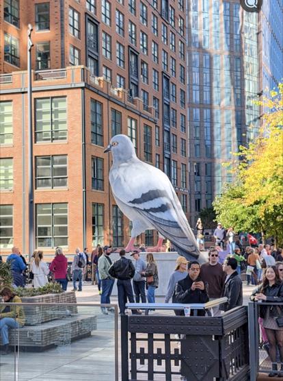 My photograph of Iván Argote's giant pigeon sculpture in New York City, November 2, 2024.