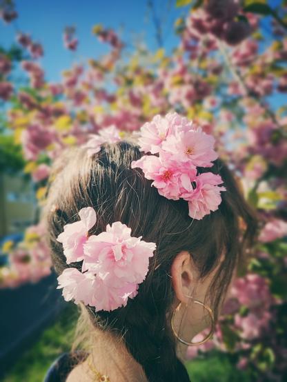 Porträt eines Mädchens mit braunen Haaren und geflochtenem Zopf. Der Kopf ist von hinten und läuft von der Seite zu sehen, in den Haaren stecken rosa Kirschblüten. Hinter dem Mädchen ein rosa blühender Baum und blauer Himmel.