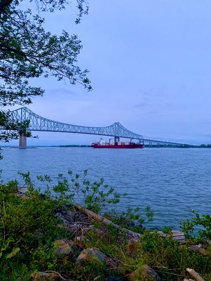 A long cantilever bridge stretches across the wide Delaware River. It’s dusk, not quite dark yet, but the water has turned a deep gray-blue, reflecting the sky’s muted, bluish-gray tones. A freight ship is moving slowly in the middle of the river. In the foreground, some vegetation is visible.