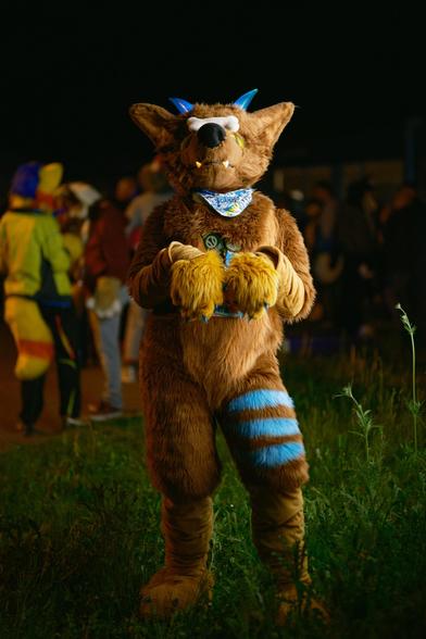 A picture of a werewolf-dragon fursuiter balancing a plush bone on his nose. His head is tilted upwards to keep the balance for the bone. The handsaws are placed in front of his chest, hanging downwards; comparable to an anthro creature pleading. The background is a nightly atmosphere with sky being completely black and a bit of grass being visible on the ground.