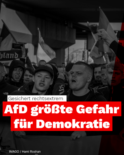 Auf dem Bild sind Rechtsextreme mit Fahnen zu sehen.

Text: Gesichert rechtsextrem:

AfD größte Gefahr für die Demokratie