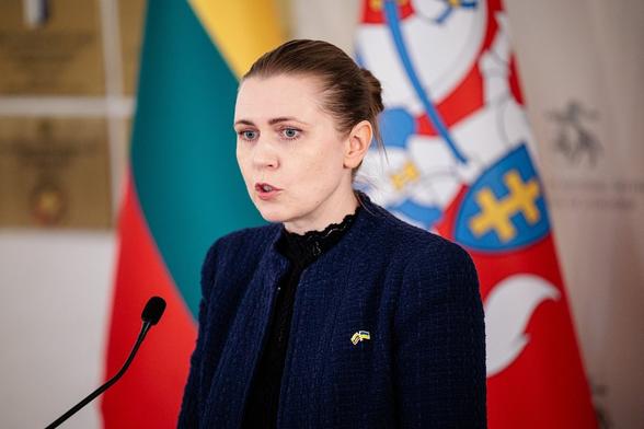 Lithuania plans to buy long-range air defence systems – defmin
