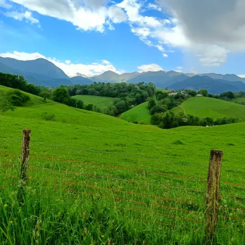 De Lourdes à Asson
