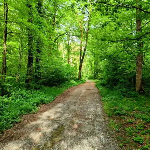 De Lourdes à Asson