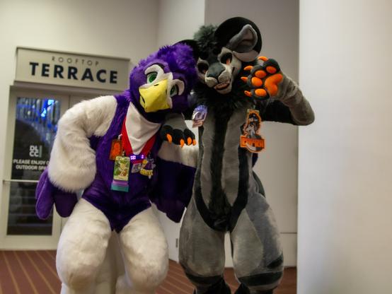 An eagle fursuit leaning against a goat fursuit with their paws up.