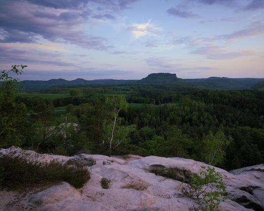 The image shows a peaceful landscape, likely at dawn or dusk, with light-colored rocks and a large forest. Several distinctive flat-topped rock formations rise in the distance, with one elongated shape suggesting the Lilienstein in Saxon Switzerland National Park. The sky displays soft pastel colors and wispy clouds. The scene evokes tranquility and natural beauty, characteristic of the Elbe Sandstone Mountains region with its unique geological formations and extensive forests. The Lilienstein, a prominent landmark, offers panoramic views and has historical significance.