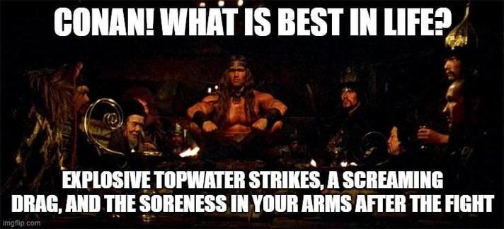 What is best in life?