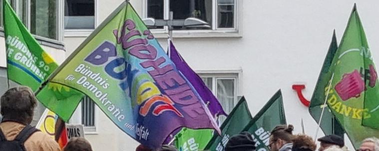 Hannover, demo, fahnen, gegen afd.