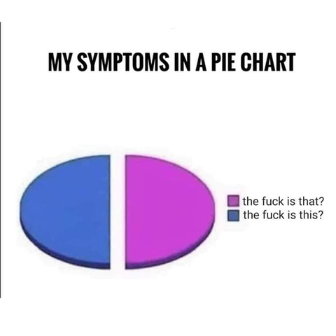my symptoms in a pie chart

blue half of pie chart - the fuck is this?

magenta half of pie chart - the fuck is that?