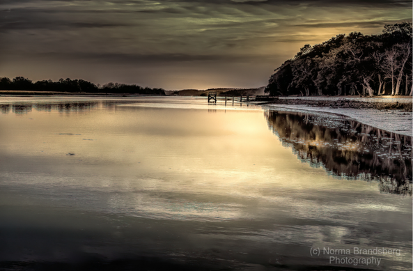 Buck Hall  north of Charleston, in McClellanville, a study in gold contrasts. It was low tide at sunset. All the textures were on display, the dock against the water, the tree silhouettes, the dock lit by the fading sunset.  Photographed in winter.

https://pixels.com/featured/charleston-area-intracoastal-waterway-norma-brandsberg.html

https://pictorem.com/2168158/charleston-area-intracoastal-waterway