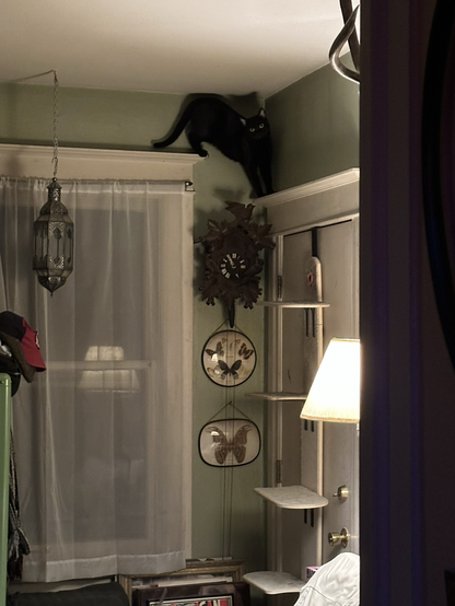 A closer look into a bedroom. A black cat is high up in the corner of the room above a window and door frame.