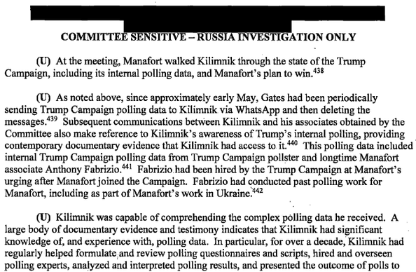 Screenshot of page 91 of attached US Senate Intelligence Committee Report:

(U) At the meeting, Manafort walked Kilimnik through the state of the Trump Campaign, including its intemal polling date, and Manafort’s plan to win.

(U) As noted above, since approximately early May, Gates had been periodically sending Trump Campaign polling data to Kilimnik via WhatsApp and then deleting the messages. Subsequent communications between Kilimnik and his associates obtained by the Committee also make reference to Kilimnik’s awareness of Trump’s internal polling, providing contemporary documentary evidence that Kilimnik had access to it. This polling data included internal Trump Campaign polling data from Trump Campaign pollster and longtime Manafort associate Anthony Fabrizio. Fabrizio had been hired by the Trump Campaign at Manafort’s urging after Manafort joined the Campaign. Fabrizio had conducted past polling work for Manafort, including as part of Manafort’s work in Ukraine.

(U) Kilimnik was capable of comprehending the complex polling data he received. A large body of documentary cvidence and testimony indicates that Kilimnik had significant knowledge of, and experience with, polling data. In particular, for over a decade, Kilimnik had regularly helped formulate and review polling questionnaires and scripts, hired and overseen polling experts, analyzed and interpreted polling results, and presented the outcome of polls to...
