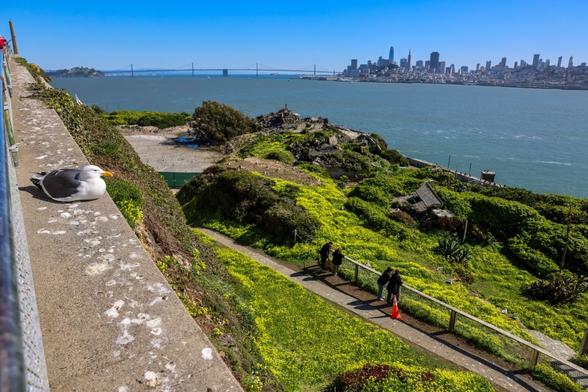 Trump's Alcatraz plan would have to clear environmental hurdles