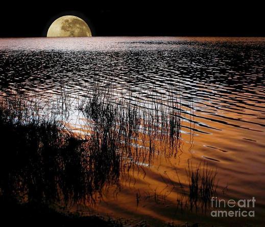 https://fineartamerica.com/saleannouncement.html?id=a9f7e4d5d2ca7b13c465b8de55a82a8d

**ACHIEVED 1ST PLACE IN FAA CONTEST - "Sun Moon and Water" April 2016
**ACHIEVED 2ND PLACE IN FAA CONTEST - "Blame it on Midnight" July 2015

A photograph I captured in the north of Sydney, NSW, Australia. A late capture of sunset at the time the moon was rising.
By Kaye Menner.

THE FINE ART AMERICA LOGO WILL NOT APPEAR ON PURCHASED PRINTS OR PRODUCTS.