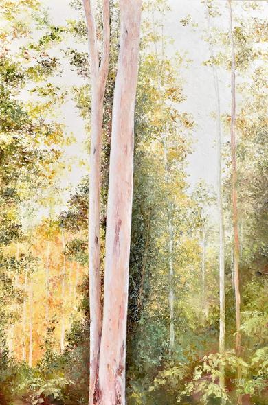 This vertical Australian landscape painting with its tall gum trees, captures varying shades of green, with dappled golden sunlight adding warmth and depth to the foliage.  Tall eucalyptus trees rise amidst a lush, sunlit forest backdrop.