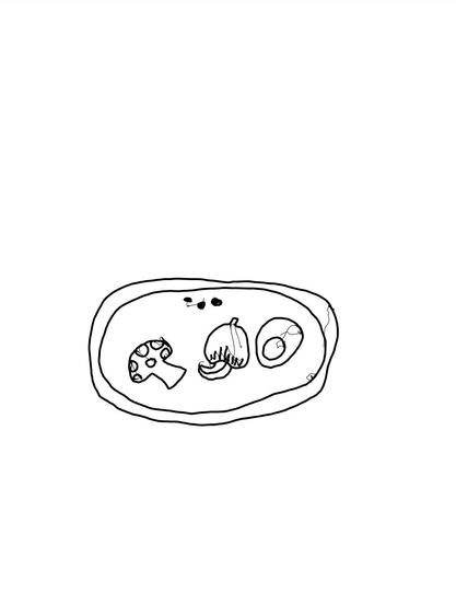 Digitally inked pencil sketch of white spot mushroom, raw cashew in the fruit, apple seed and egg