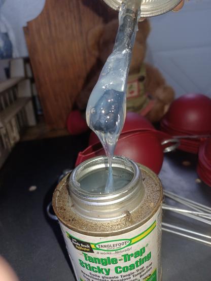 Close view of an open can of Tanglefoot with the brush pulled out to show the VERY sticky, viscous, clear paste within.