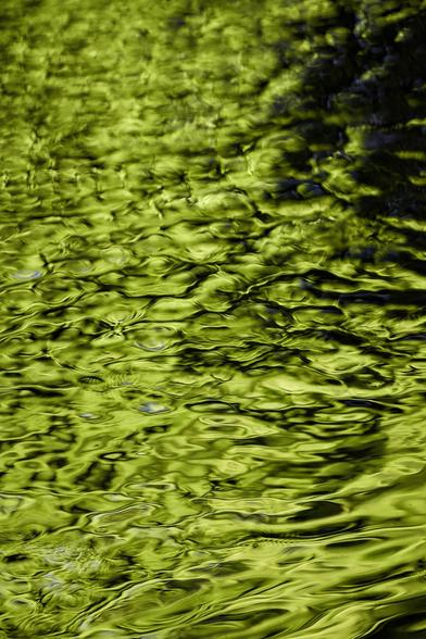 The brilliant green Spring leaves on bankside trees are reflected in the gently-rippling surface of a small stream on a sunny day.