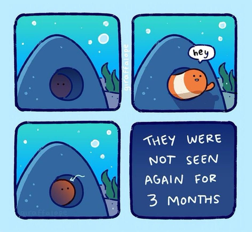 Artist: giraffalope on Insta
1st panel - fish hiding in his little cave
2nd panel - fish comes out and says hey
3rd panel - fish returns to cave
4th panel - they were not seen again for 3 months