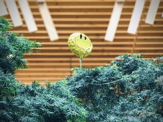 A yellow balloon with a large smiley face on the front is caught at the top of a tall tree under a vast indoor wooden ceiling, and is now floating in place.