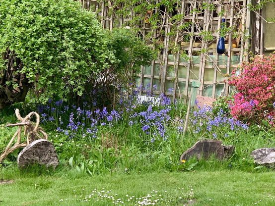 Ein Blick in meinen Naturgarten mit Nistplätzen für Vögel und Wildbienen. Die Blühvielfalt erhalten, trotz Trockenheit.