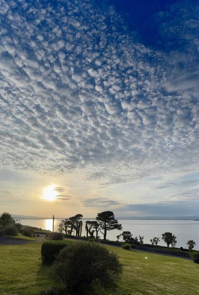 A bright yellow sun setting to the west over reflected in the still waters of the south side of Dungarvan bay. 
The sky is covered in rows of cotton bud like sparse fluffy clouds, clearing from yellow hazy sky around the sun to a deep blue in the upper right of the picture. 
Some trees are silhouetted in the middle distance by the waters edge with a recently cut lawn in the foreground. 

The photo has a tall and narrow aspect ratio where the cloud covered sky covers the upper four fifths of the picture.