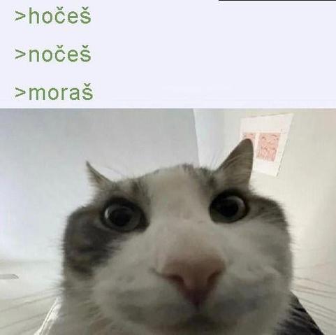 me learning slovenian