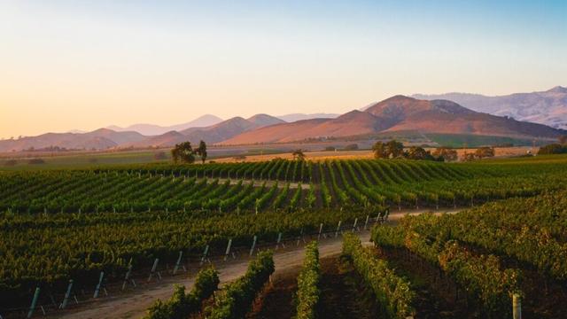 Why you should skip Napa and sip wine in California at these places instead