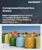 Global Compressed Natural Gas Market