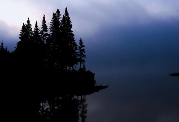 A stand of conifers seen in profile by a lake. The trees are reflected in the water below. A small protrusion of land lies on the opposite side. The details beyond are obscured by fog. The scene is peaceful and quiet, with a blue cast.