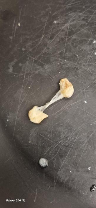 The ACTUAL smallest Grilled Cheese with a CRAZY Cheese Pull.