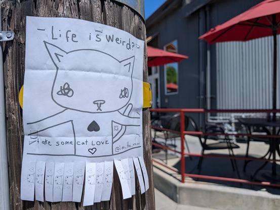 A photo of a paper stapler to a power pole outside a cafe. The paper has a drawing of a cat. It says: life is weird? take some cat love @ian_the_meow. Below that, the paper is perforated into pieces you can tear off, each featuring a cat face and hearts.