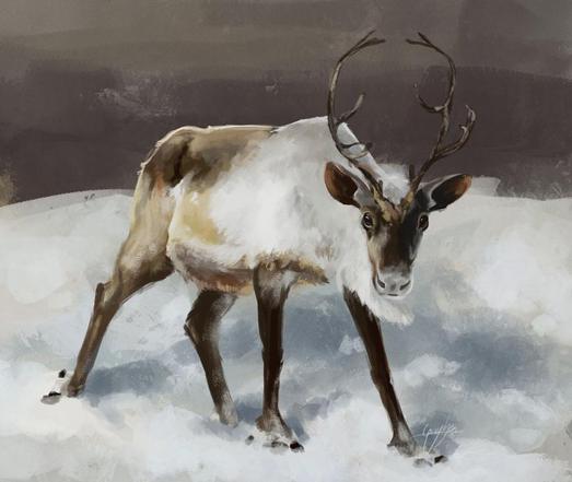 Quick digital painting of a standing reindeer looking towards the viewer. The ground has white-ish snow and behind it is an indistinct brown background. The legs of the reindeer are ruddy brow, with a lighter cream color on the back and whitish fur on its shoulders and neck, and brown thin antlers.