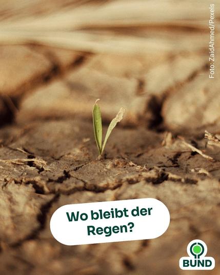 Das Bild zeigt einen kleinen, dünnen, grünen Grashalm, der aus einer tief aufgerissenen, trockenen Erdoberfläche wächst. Die Erde ist von vielen großen und tiefen Rissen durchzogen, die ein deutliches Zeichen für starke Trockenheit sind. Im Vordergrund ist der Halm im Fokus, der Hintergrund verschwimmt und besteht aus weiteren trockenen Erdflächen.