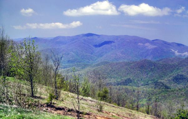 Beneath a deep blue sky with puffy clouds, we are standing atop a mountainside. A large, rather steeply-sloping meadow runs down the side of the ridge from the crest here, bright green grass broken by reddish brown channels where several runoff streams (dry today) exposed the clay soil. The grass is sparse in spots, lush in others. A few smallish trees with bright yellow buds or tiny bright green leaves just emerging sprinkle the meadow. A forest of larger trees, also budding or beginning to sprout leaves surrounds the meadow. We are looking out across rugged foothills partially cloaked in the intense greens of a more advanced spring season. Several parallel ranges stretch out to the horizon. The nearest range is just as lofty as ours. Their crests are also showing some early signs of green, like ours.