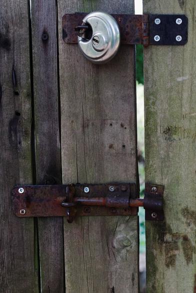 This photograph shows a close-up view of an old wooden gate, weathered and textured by time. The wood is gray and greenish with visible grain, cracks, and knots. A shiny silver padlock secures a rusted metal latch across two planks, suggesting both protection and age. The latch’s surface is mottled with corrosion, adding rich reddish-brown tones. A small sliver of soft, out-of-focus greenery is visible through the narrow gap between the planks. The image evokes a quiet, contemplative mood—an intimate look at something overlooked, where decay, security, and nature’s slow reclaiming coexist in stillness and subtle detail.