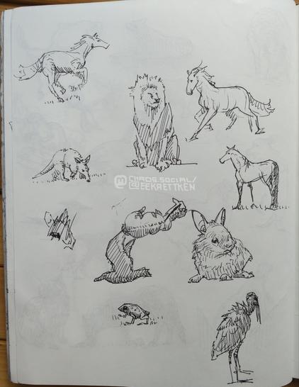 Black Fineliner on paper

Sketches of various animals