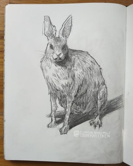 Pencil on paper

Sketch of a sitting rabbit