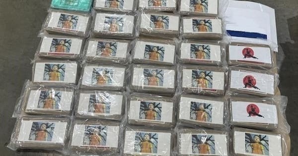 More than 150kg of cocaine worth $60.9m seized at Port of Tauranga