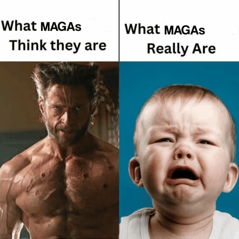 Just sayin...