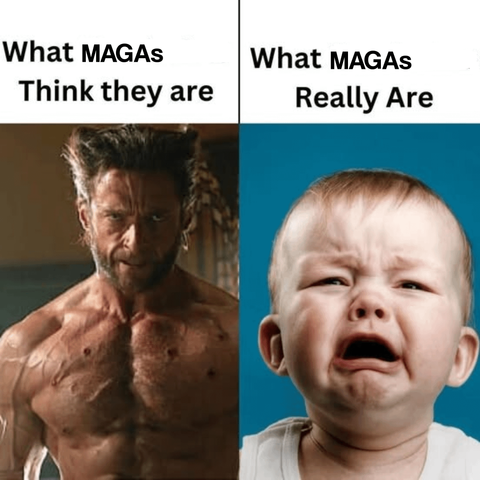 Just sayin...