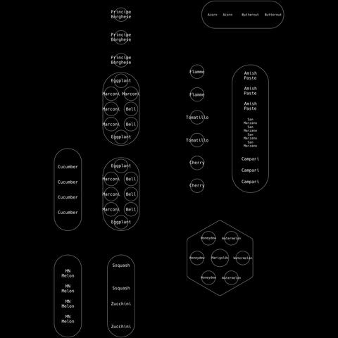 An image of a 2D CAD drawing showing a garden layout with  mostly raised beds and the planting plan. The 4 narrower beds are 9 feet long by 3 feet wide,  2.7m x .9m. The wider beds are 4 feet wide, 1.2m, and two are 8 feet long, 2.4m, and one is 14 feet, 4.2m, long. The hexagon bed is 7.2 ft, 2.2m wide, and 32 inches, 0.9m, to planter that will be placed in the middle. The Principe Borghese tomatoes are determinate and will be in cages or multiple stakes. The flamme, tomatillo, cherry tomato row is under a trellis as well as the long raised bed.