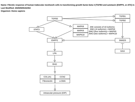 Image of the Fibrotic response of human trabecular meshwork cells to transforming growth factor-beta 3 (TGFB3 and autotaxin (ENPP2, or ATX) in aqueous humor (WP5545) pathway. https://www.wikipathways.org/pathways/WP5545

Description: 

"This pathway visualises the potential mechanisms of TGF-β3-mediated ENPP2 (or ATX) expression and fibrotic changes in HTM cells. This pathway was created based on the PFOCR project, https://pfocr.wikipathways.org/figures/PMC9496180__biomolecules-12-01231-g008.html"