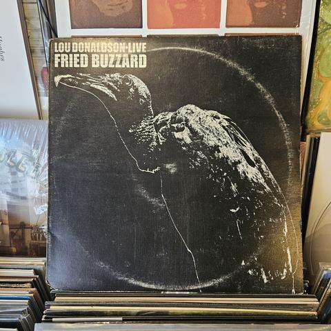 Album cover features a black and white image of a buzzard.