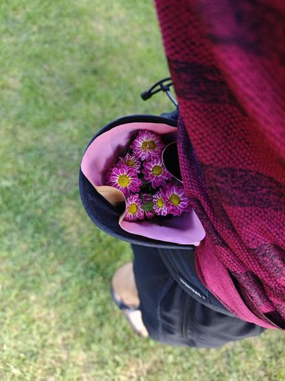 A tiny pot of pink flowers are sitting in the bottle holder part of my running belt.